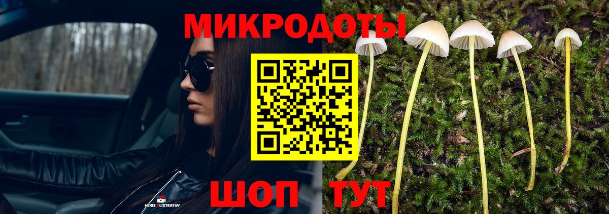 Псилоцибиновые грибы мухоморы Похвистнево